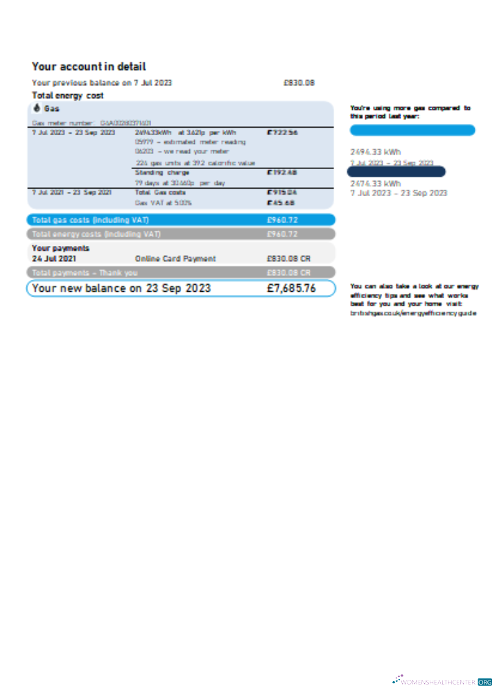 Download British Gas Energy utility business bill SCR page 2 Photoshop template